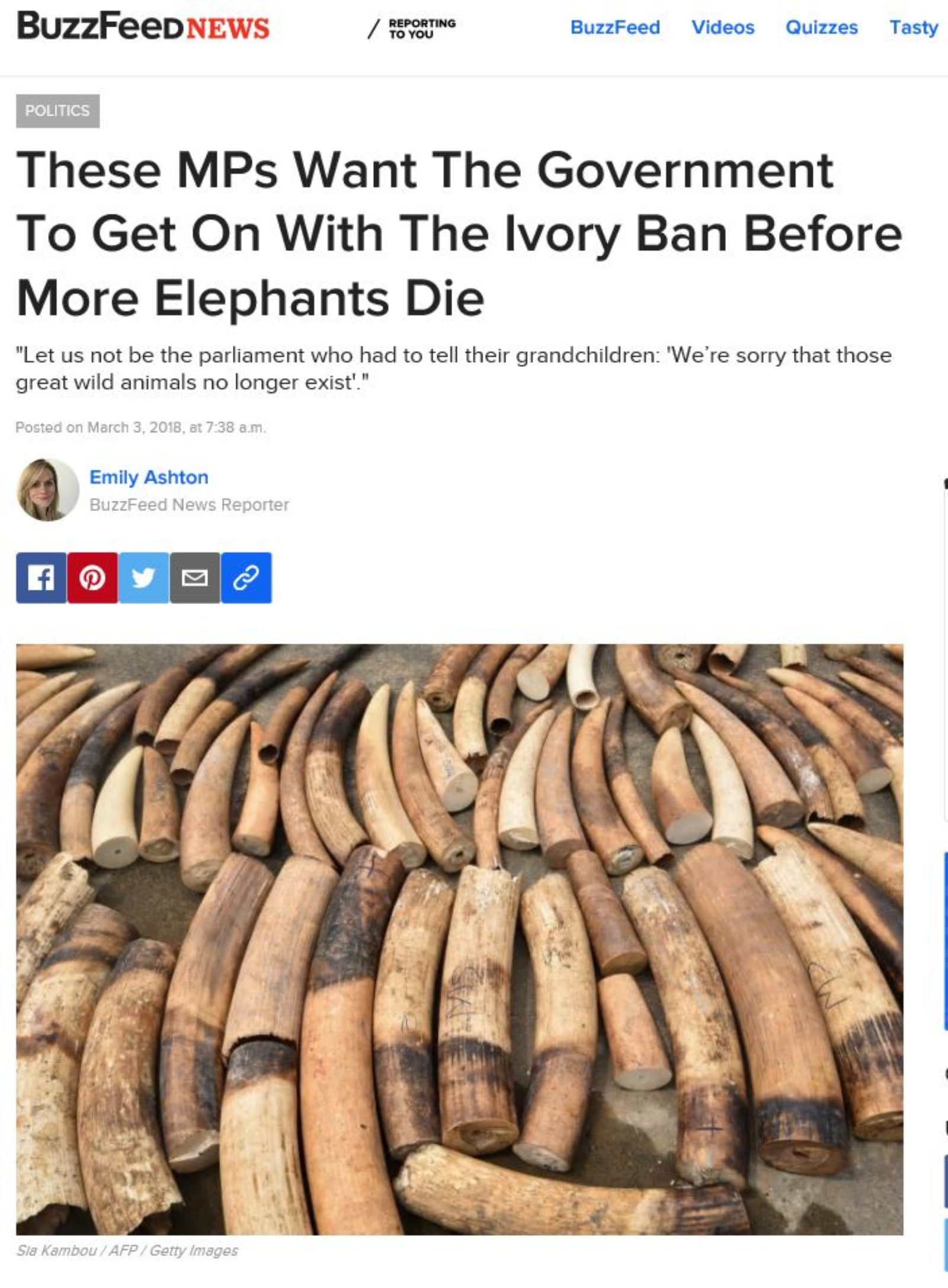 These MPs Want The Government To Get On With The Ivory Ban Before More Elephants Die.